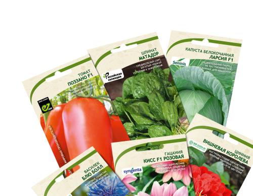 Семена в пензе