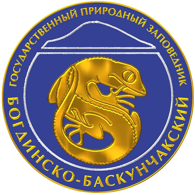 Логотип заказчика студии Камелот 4