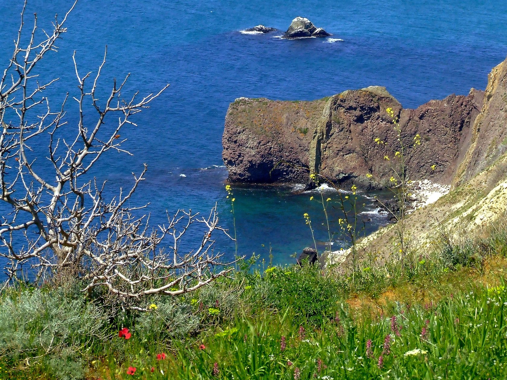 Сайт мыс. Фиолент Крым в апреле. Природа в Крыму в апреле. Море Крым в апреле. Крым море Весна.