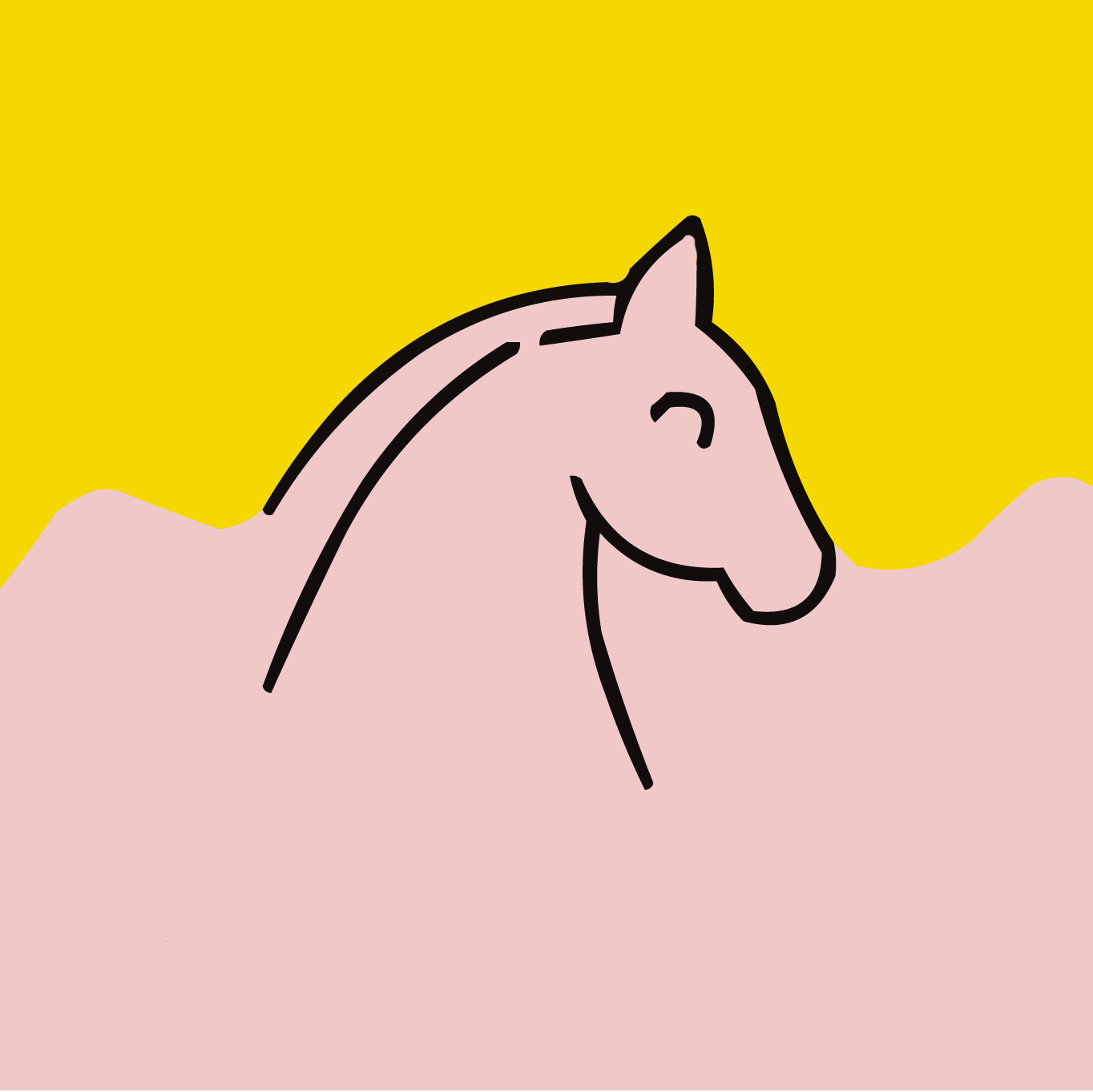 Caramella Equestrian – бренд практичной амуниции