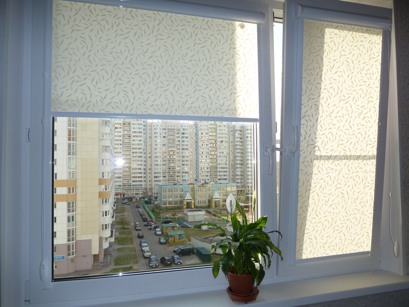 Рулонные шторы вид на окне фото