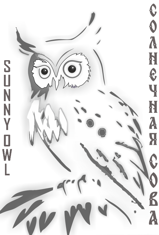 СОЛНЕЧНАЯ СОВА / SUNNY OWL