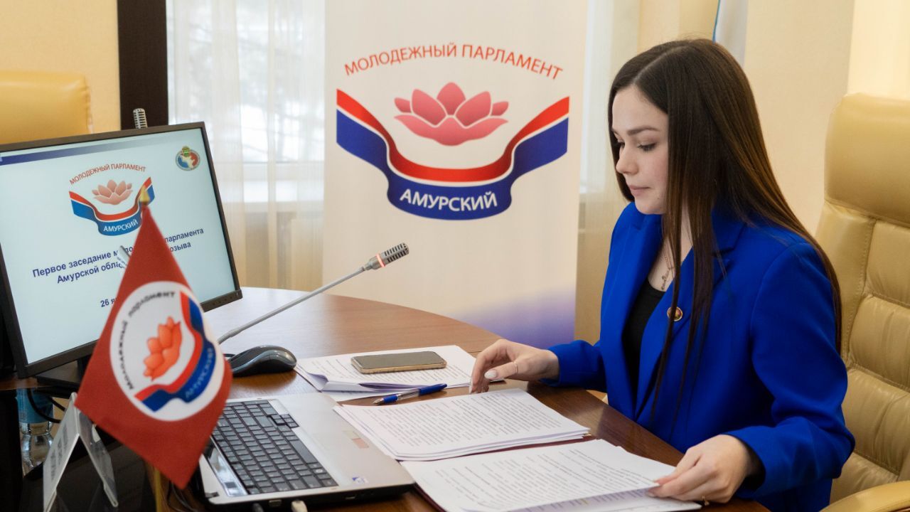 Депутаты ничего не делают. Депутаты ничего не делают