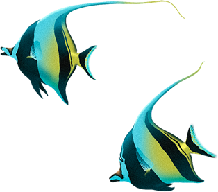 Разработка интерактивных курсов