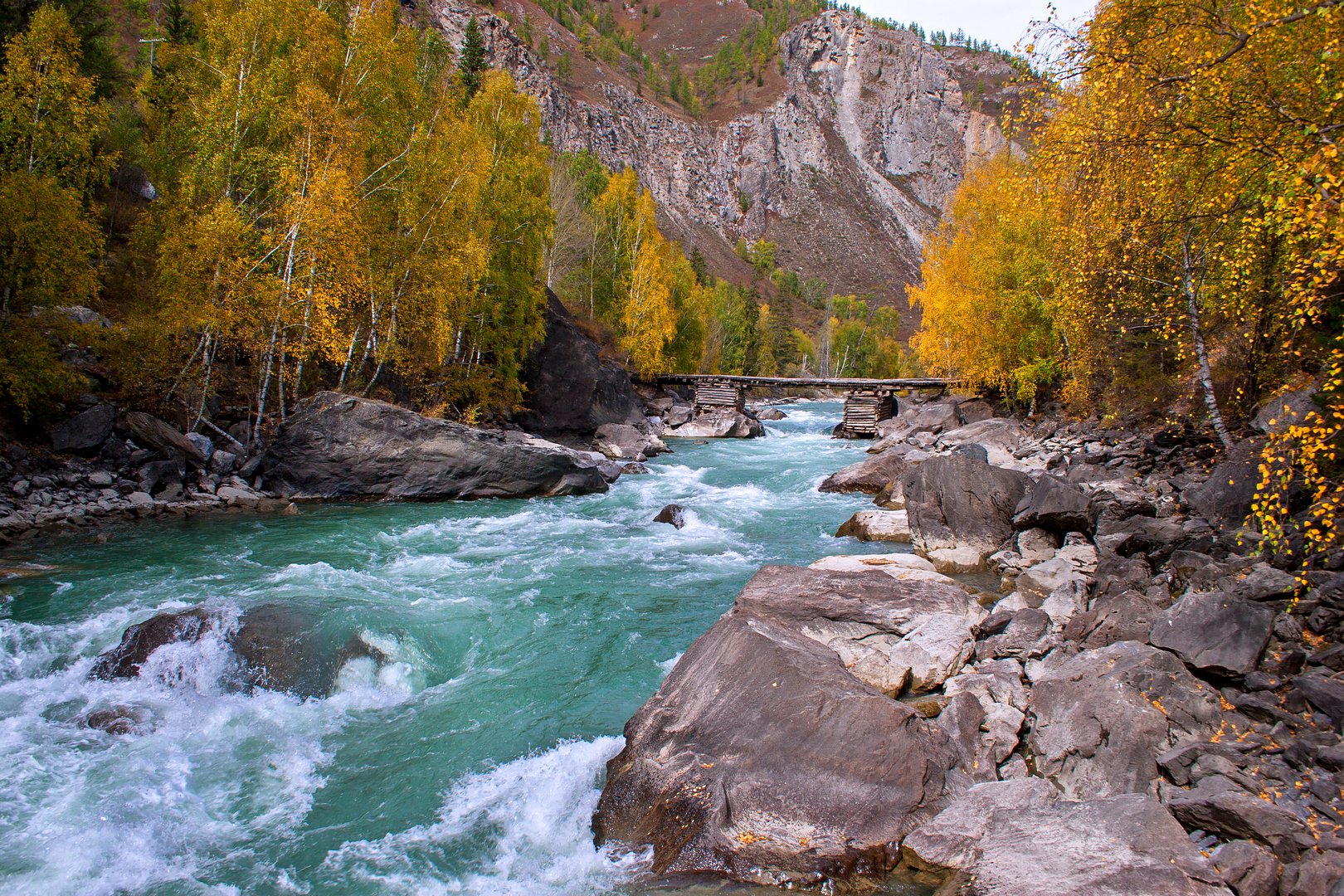 Реки горного алтая фото