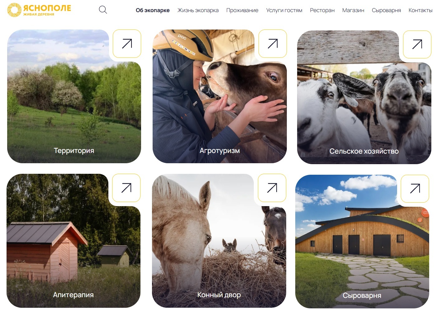 Имидж отеля «Ясно Поле» — комфортное место для экотуризма