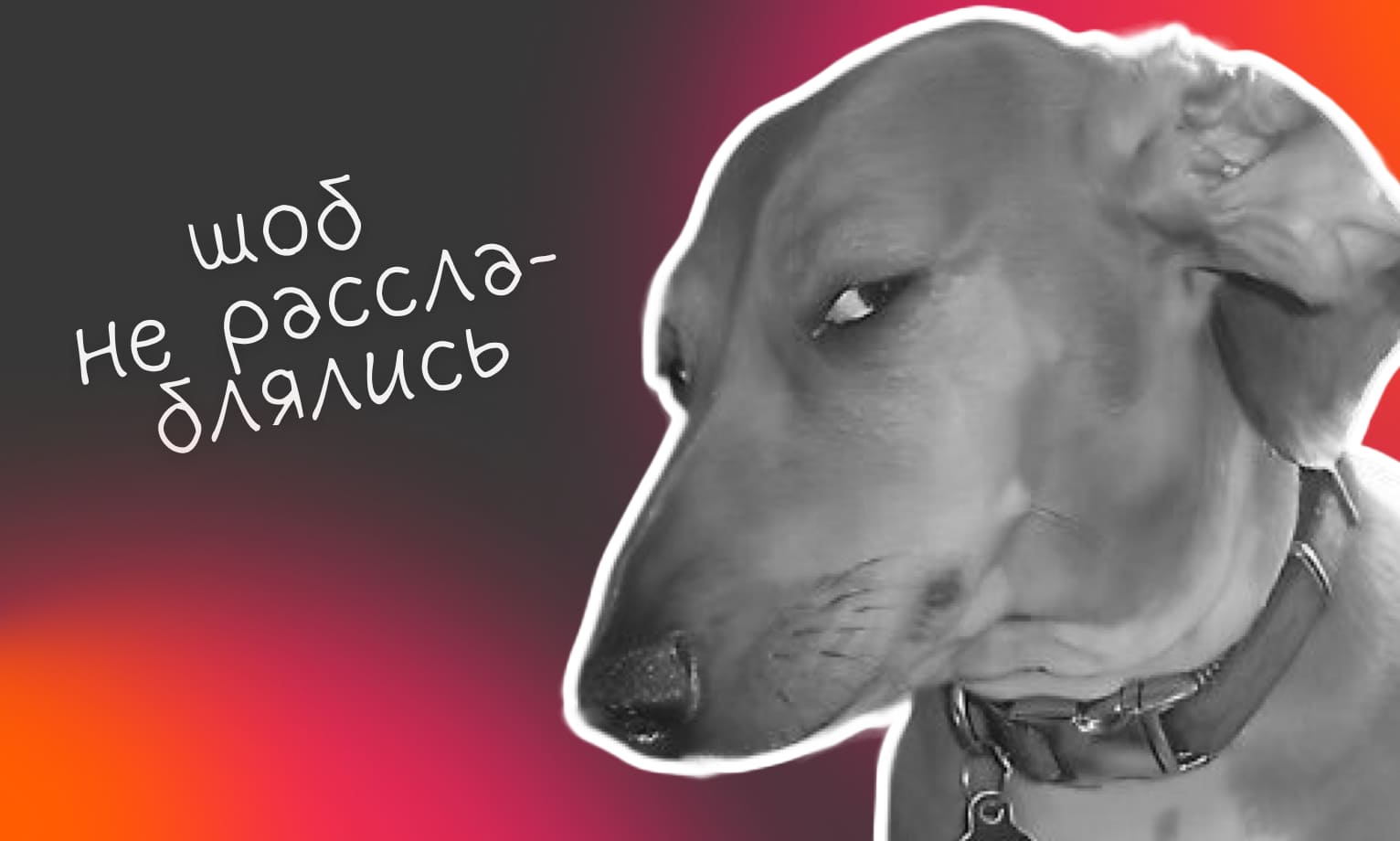 Для чего используются KPI - Достависта Блог