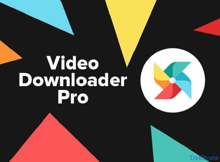 Downloader pro. Video downloader Pro. Логотип Video downloader professional. Any Video downloader Pro. Видео довнлоадер.