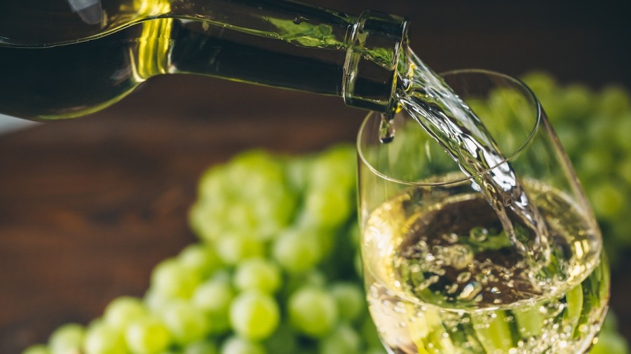 Champagne tour in Penedes | Casamiga Events