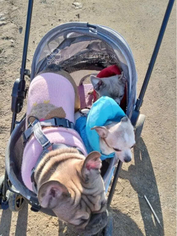 Коляска прогулочная для собак bl09-m