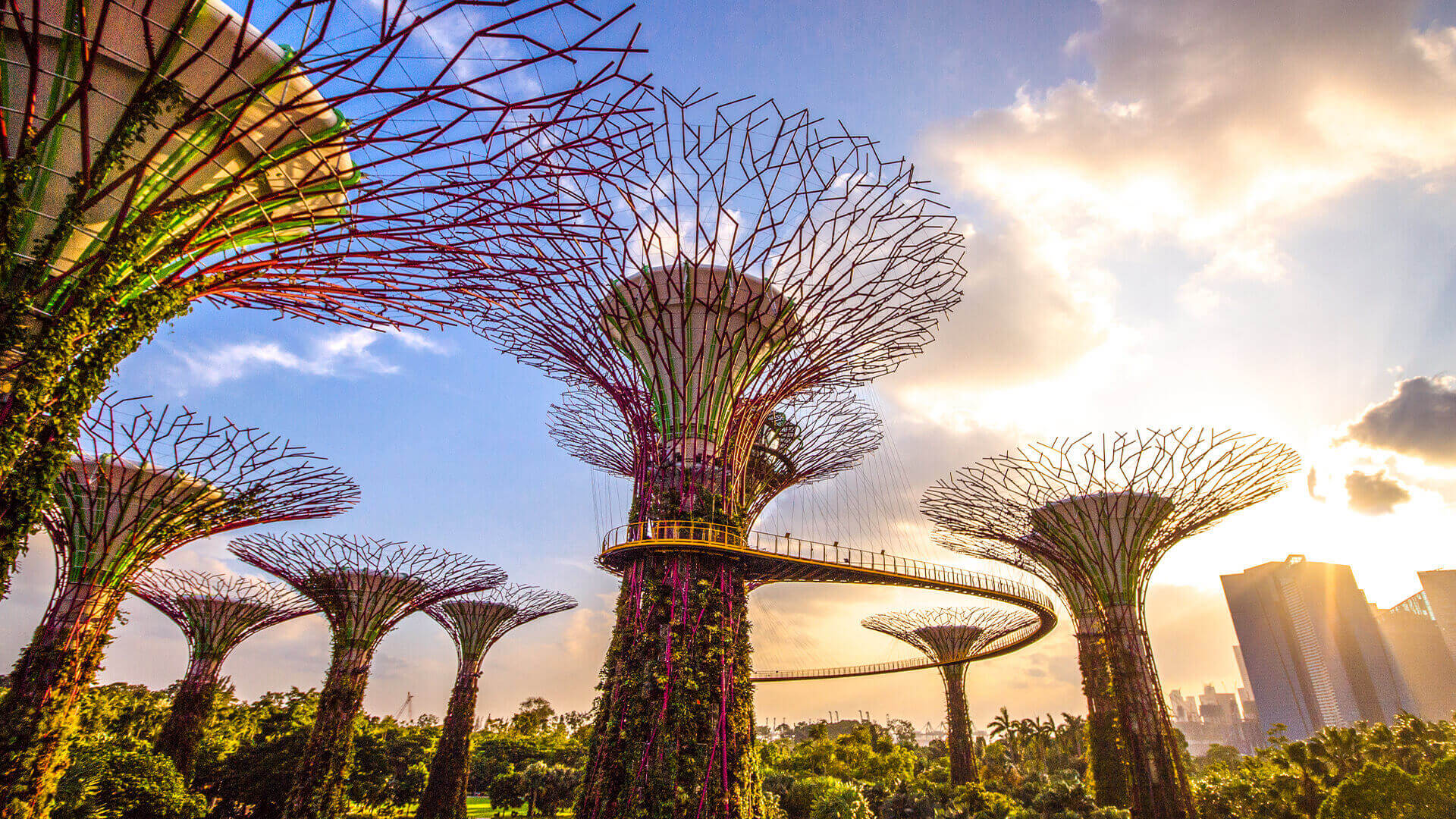 сад Gardens by the Bay сингапур