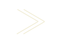 Link to the description of the cat. no 16