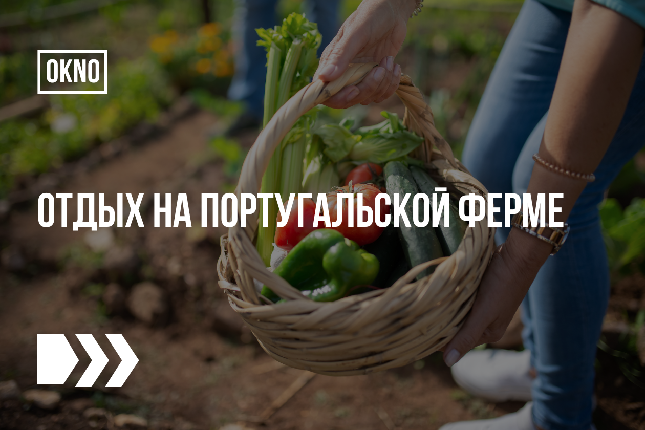 Отдых на португальской ферме