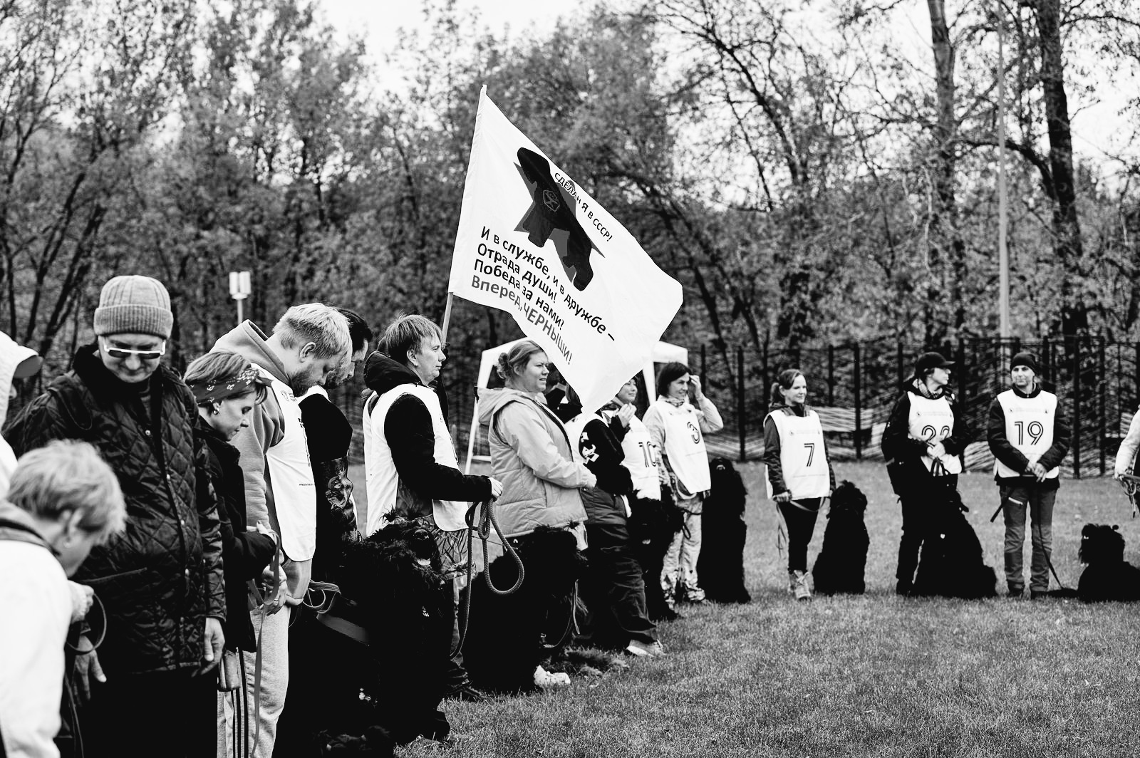 Парад участников на соревнования по дрессировке собак