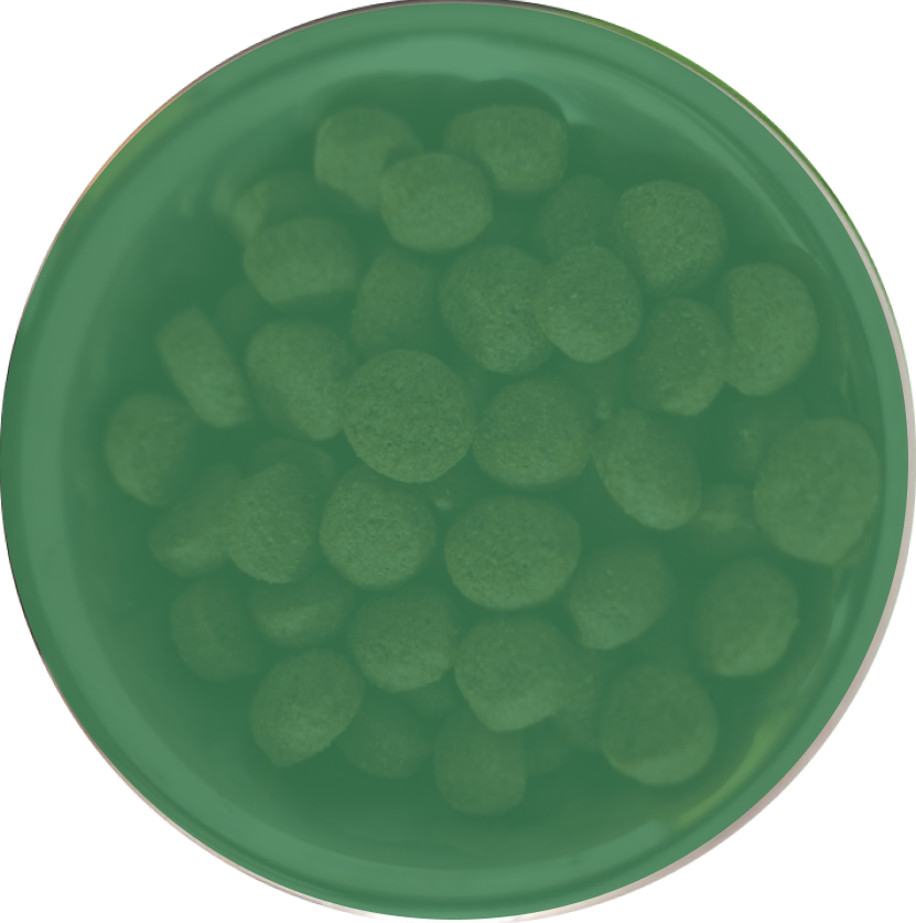 Правила перехода на сухой корм Frais 7 день 