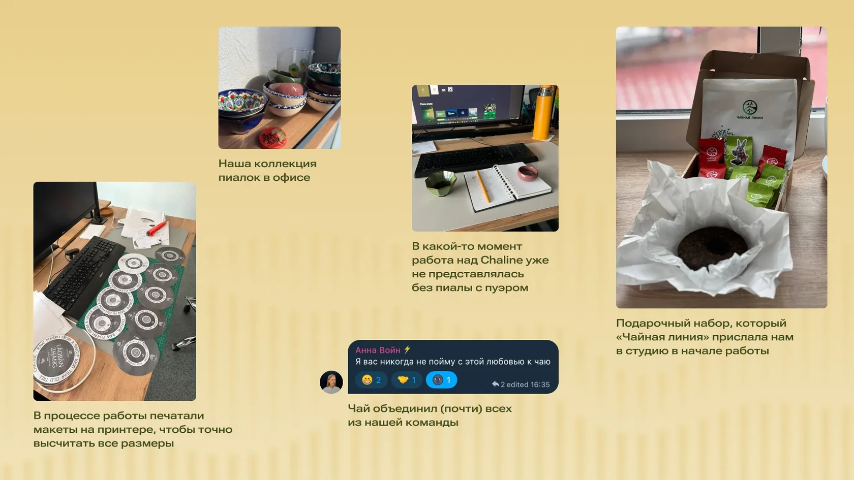 Финальная композиция фирменного стиля и упаковки Chaline