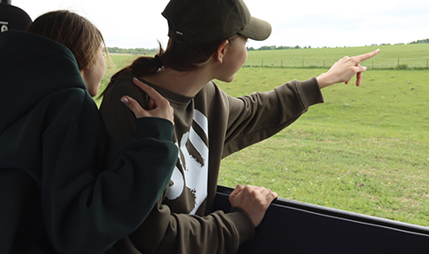 Проживание в парке Олений