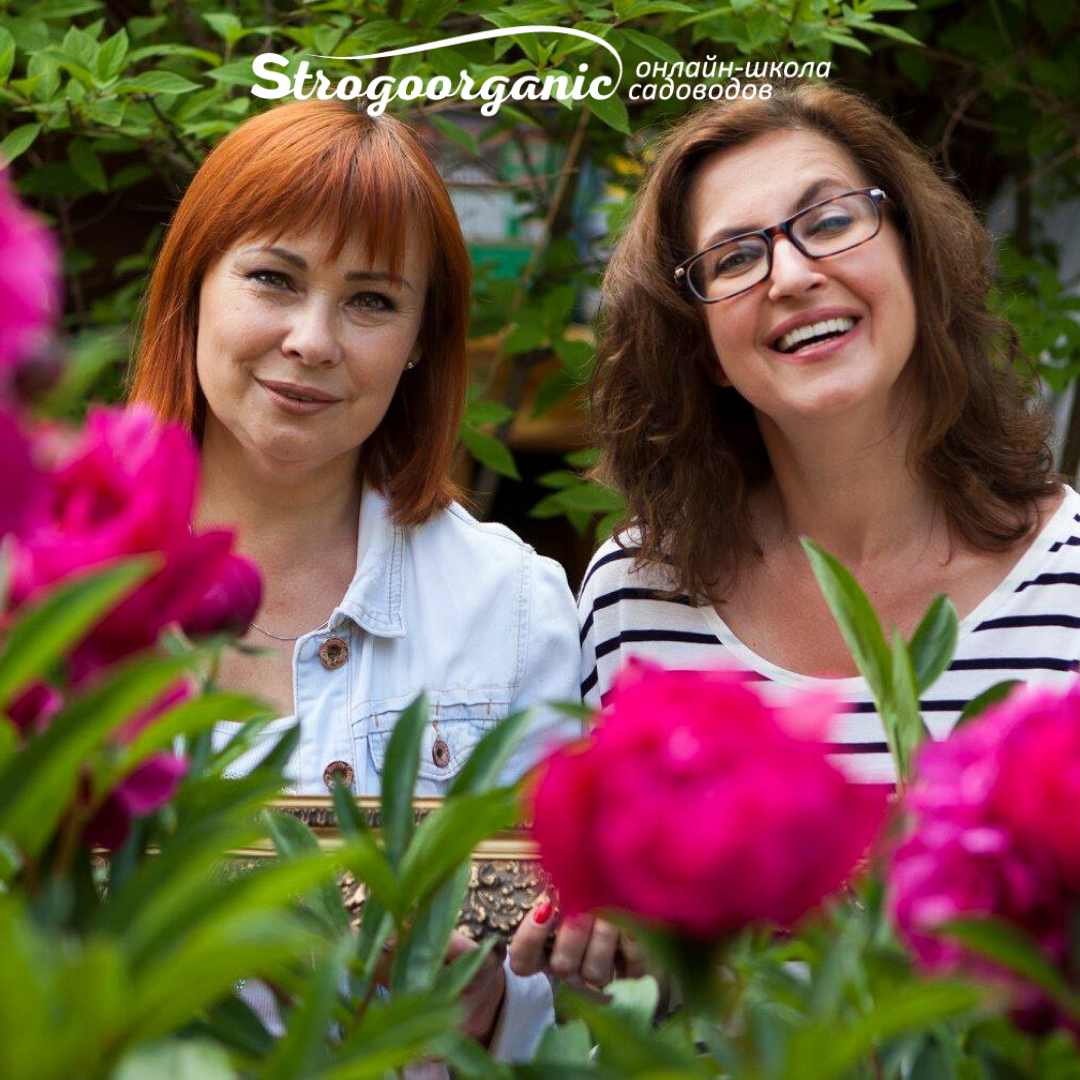 strogoorganic.ru
