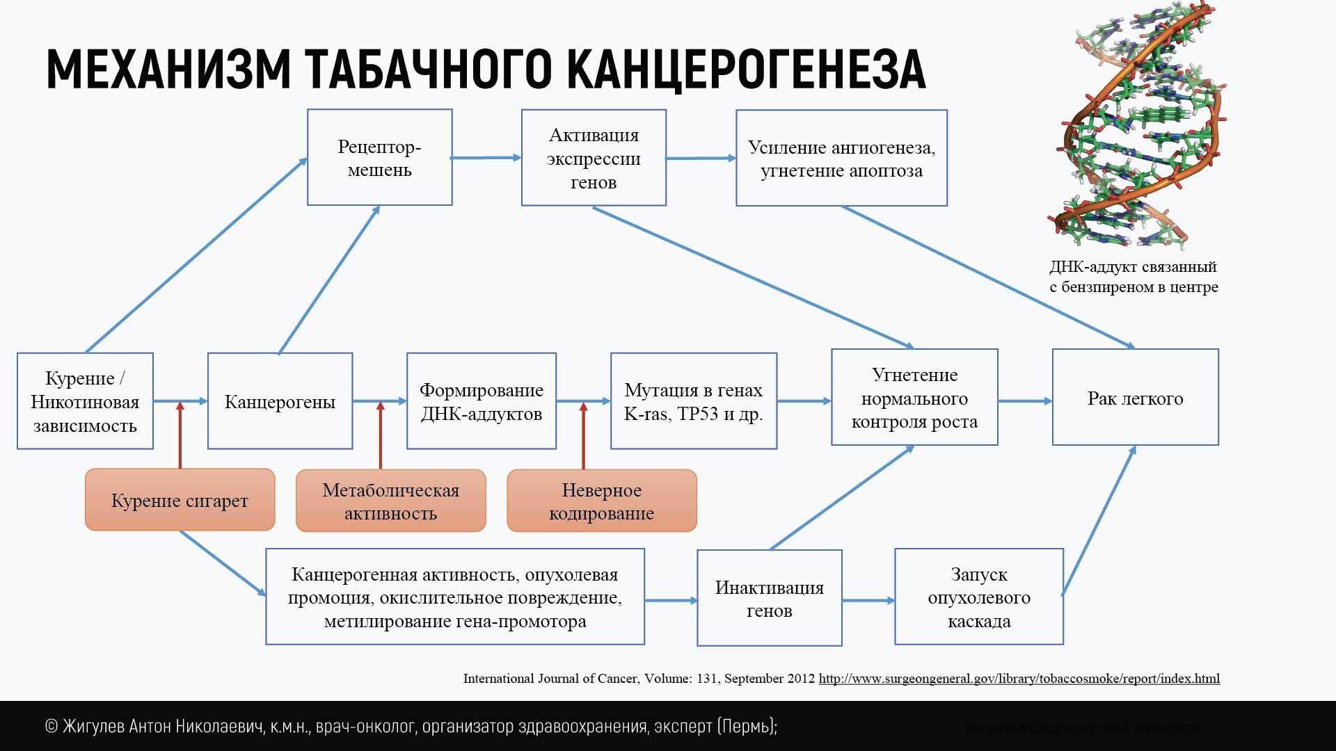 Отчет Совет экспертов по теме «Онкологическое заболевание и качество жизни  пациента»