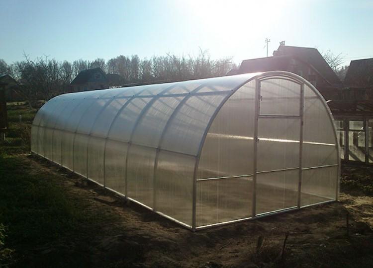 Теплица МЗТ 40ЦК с автопроветриванием