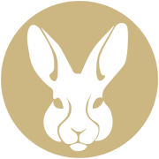 The White Rabbit