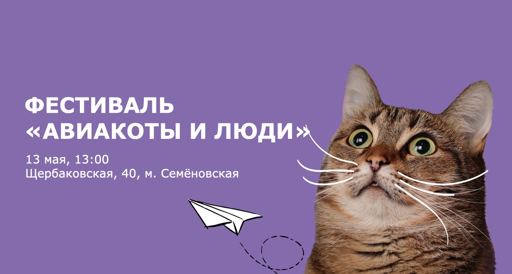 Фестиваль авиакотиков