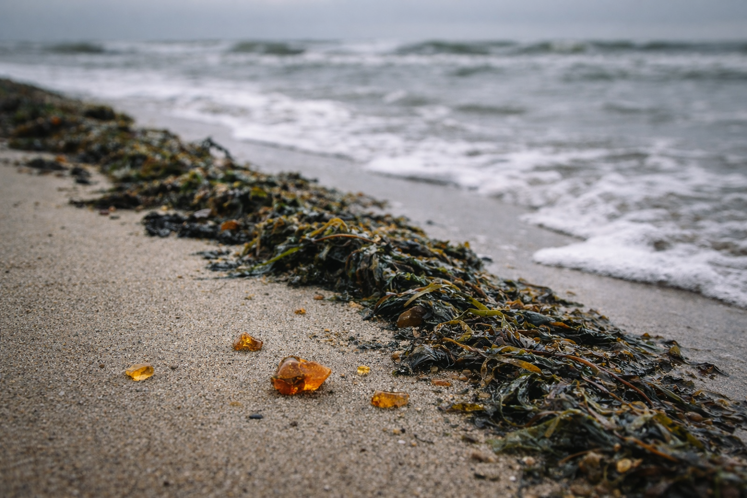 Янтарь на пляже Балтики после шторма — как выглядит находка