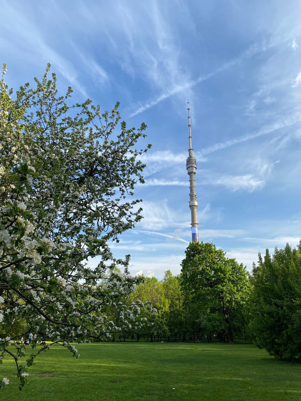 Останкино FEST (Останкино Фест) - официальный сайт новой летней площадки.