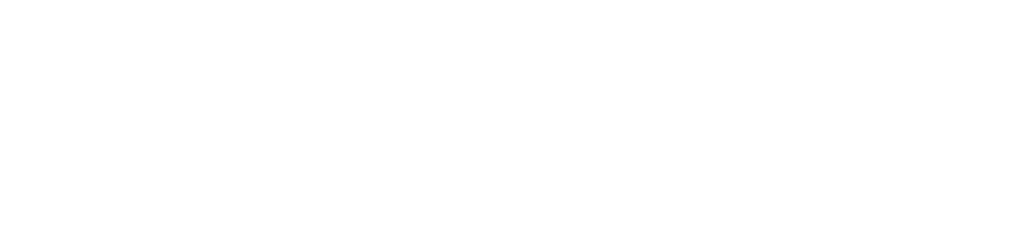 Логотип БЗМЖ