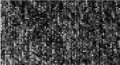 D 085