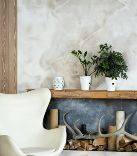 озеленение квартиры заказать