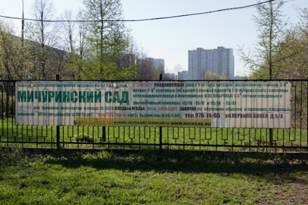 Фото: glazovo7.ru