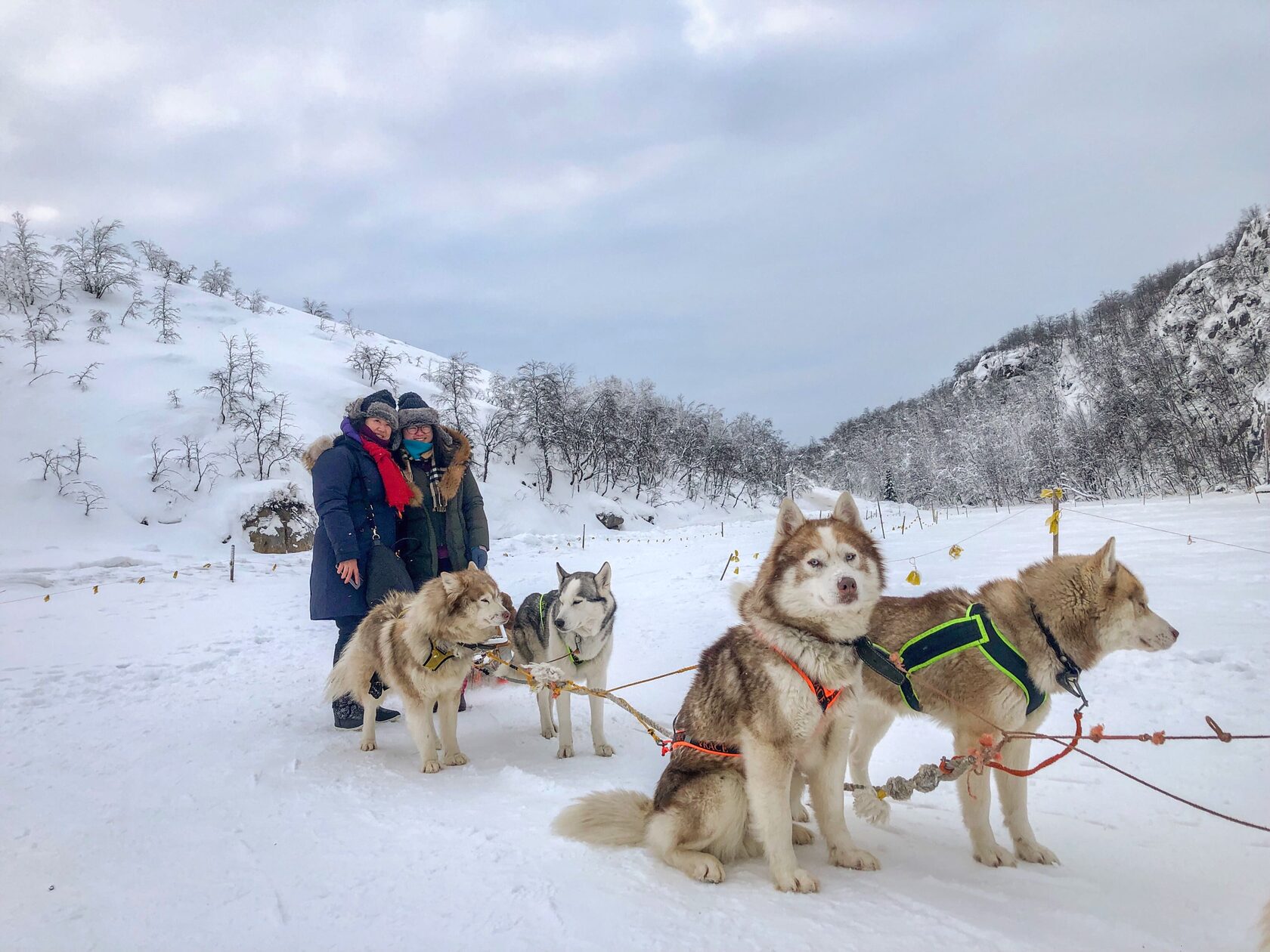 хаски парк мурманск