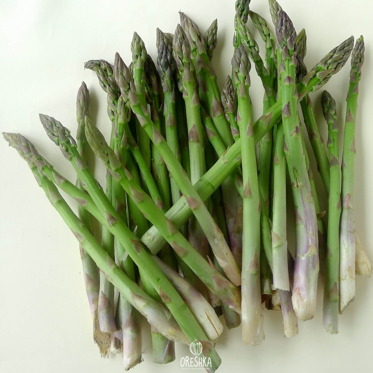 Seeds of Asparagus Argentalskaya 30+ PCS — 10 pcs