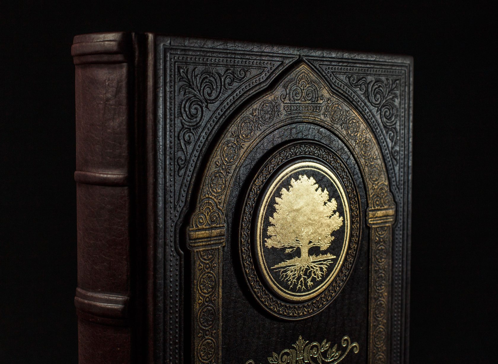 Парадная книга. Родословная книга «парадная». Тисари. Книга про парадные Петербурга. Тисари.ру