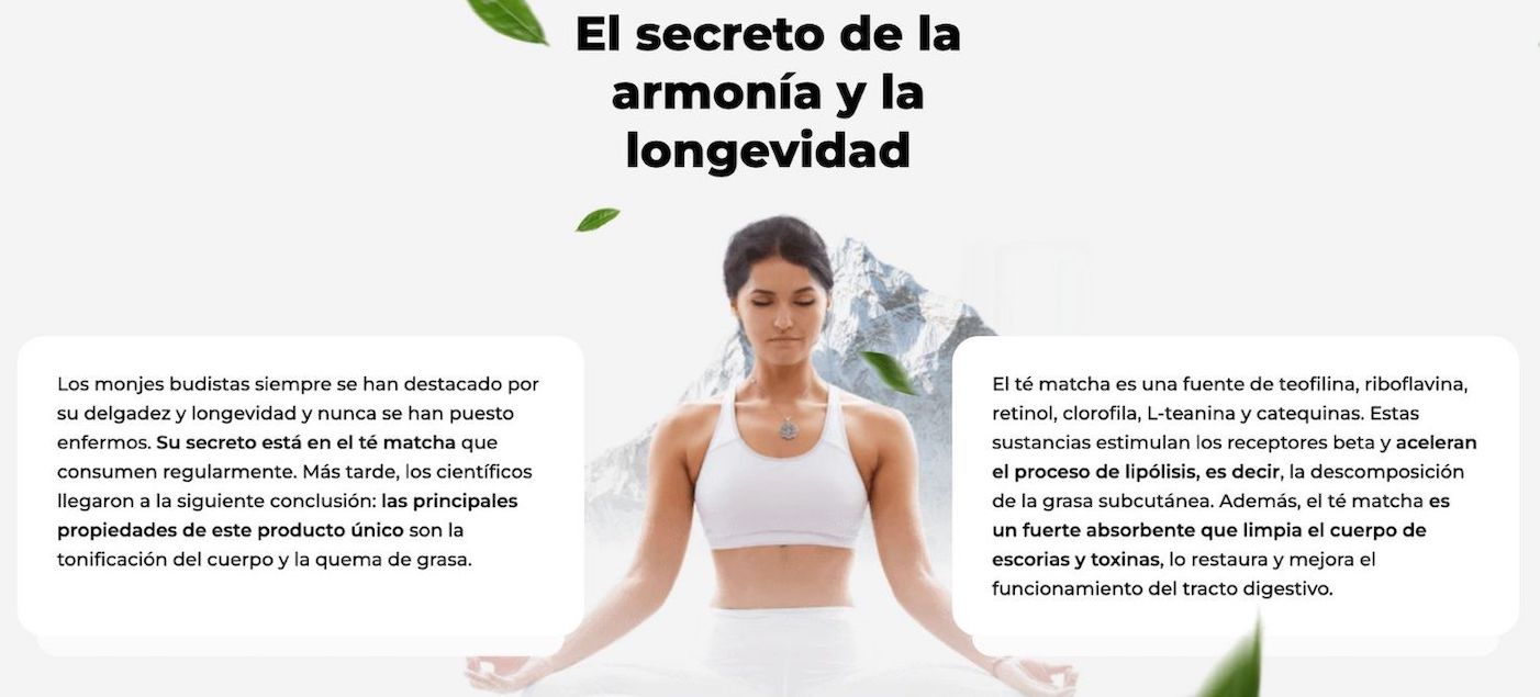 Beneficios de Matcha