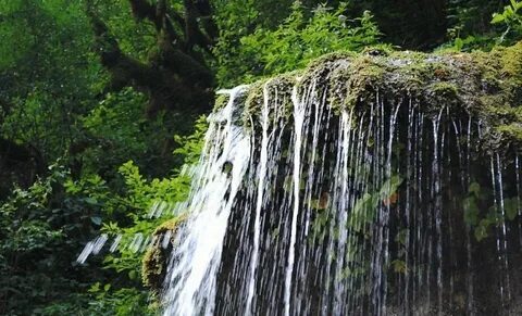 однодневная экскурсия в абхазию из сочи. Bellatour.ru