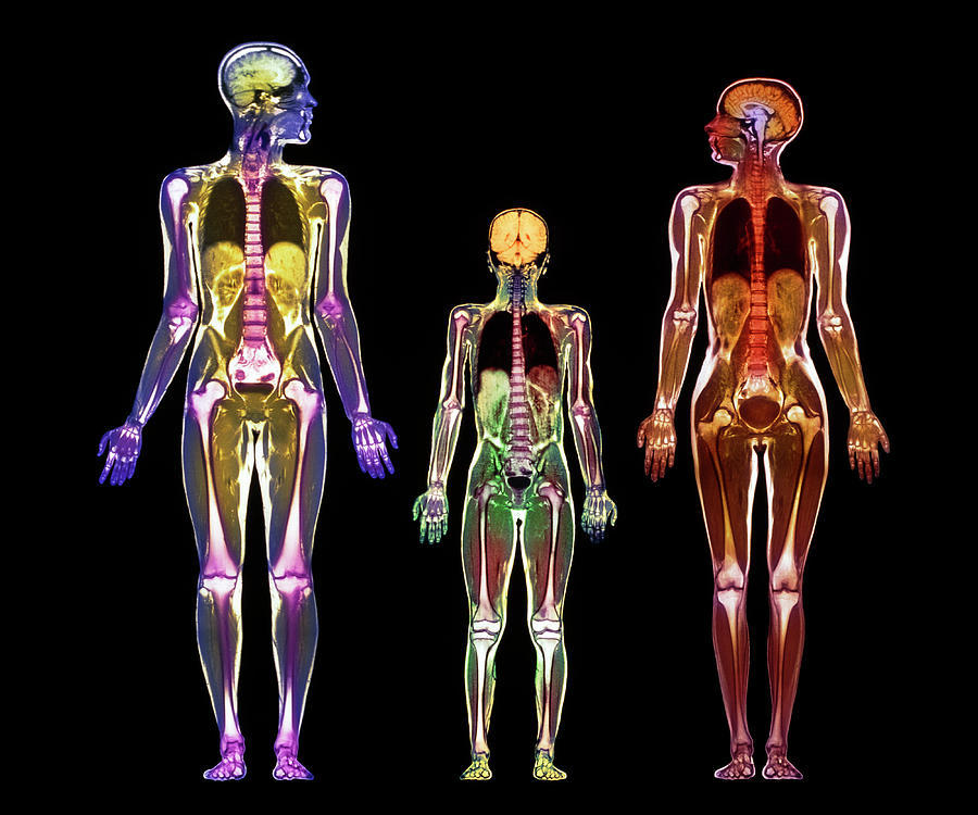 Исследования тела человека