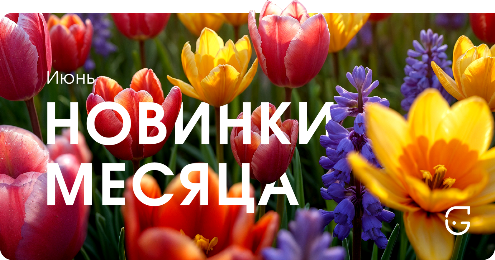 подарки для корпоративных мероприятий с индивидуальным дизайном