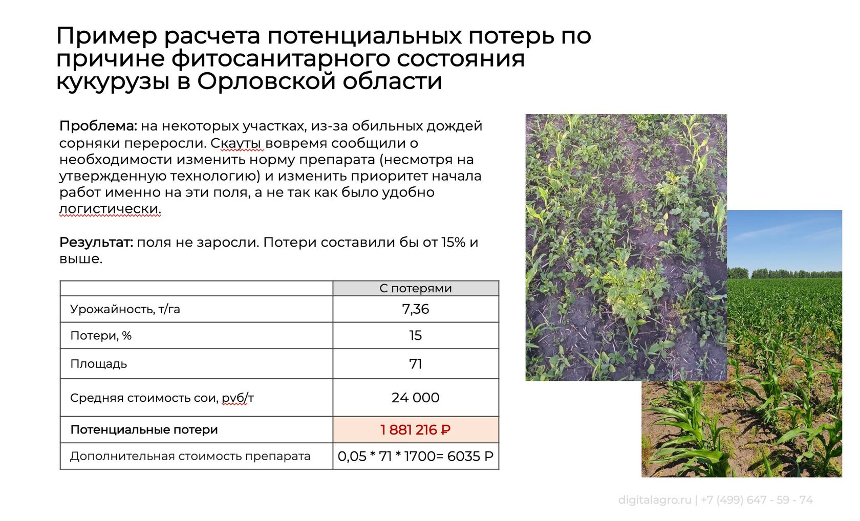 цыбуля н в методика определения фитонцидной активности интактных растений раст ресурсы 2001 фото 4