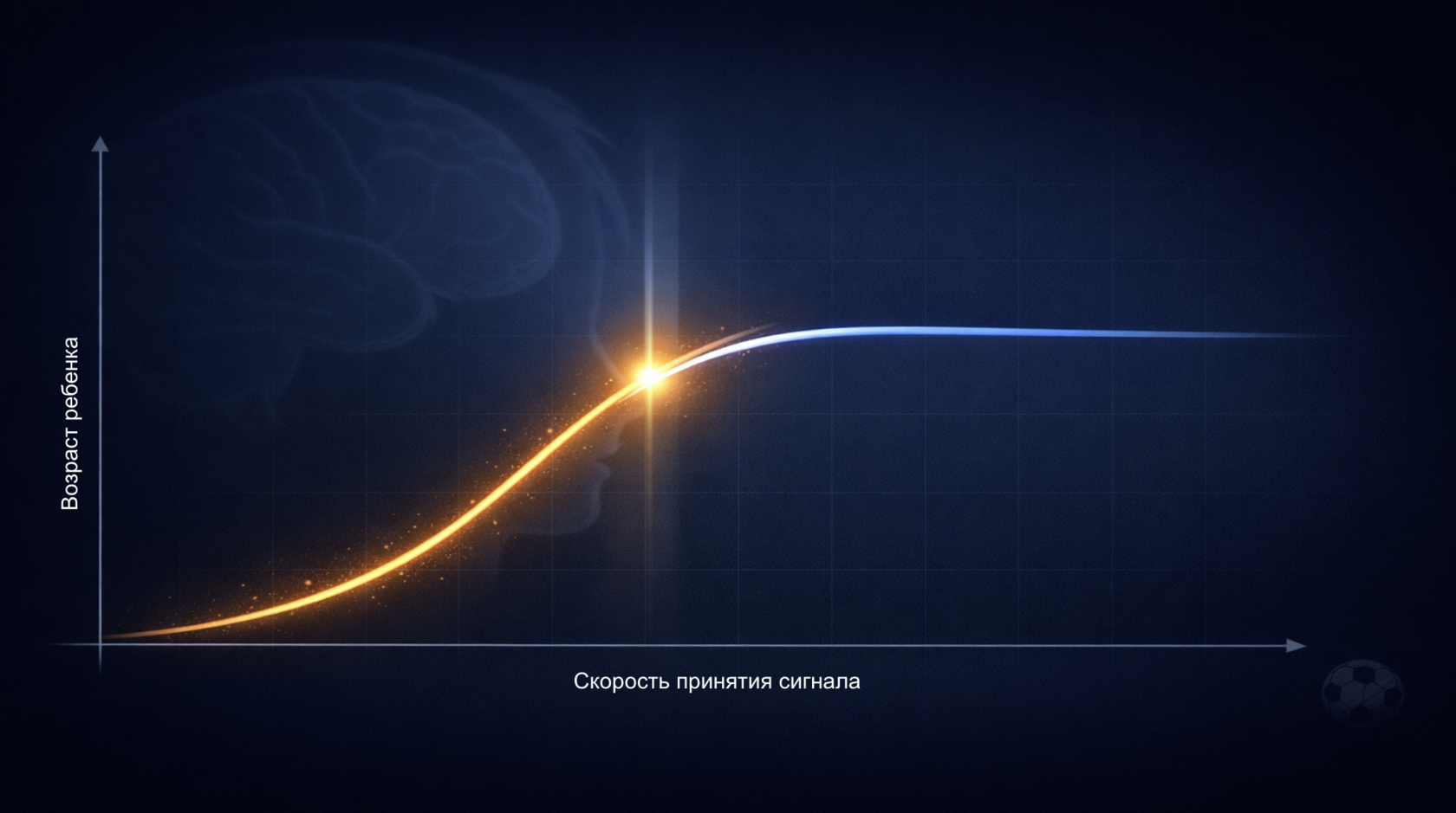 Инфографика о развитии мозга ребёнка