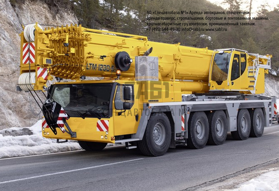 Автокран liebherr ltm. Liebherr LTM 1230. Liebherr LTM 230. LTM 1230-5.1. Автокран Liebherr LTM 1230-5.1.