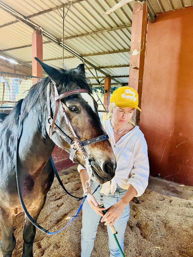 Calm trail horse at Vonfidel Ranch in Sri Lanka being prepared for a low-volume ethical riding holiday focused on horse welfare, trust-based horsemanship, and responsible equestrian travel.