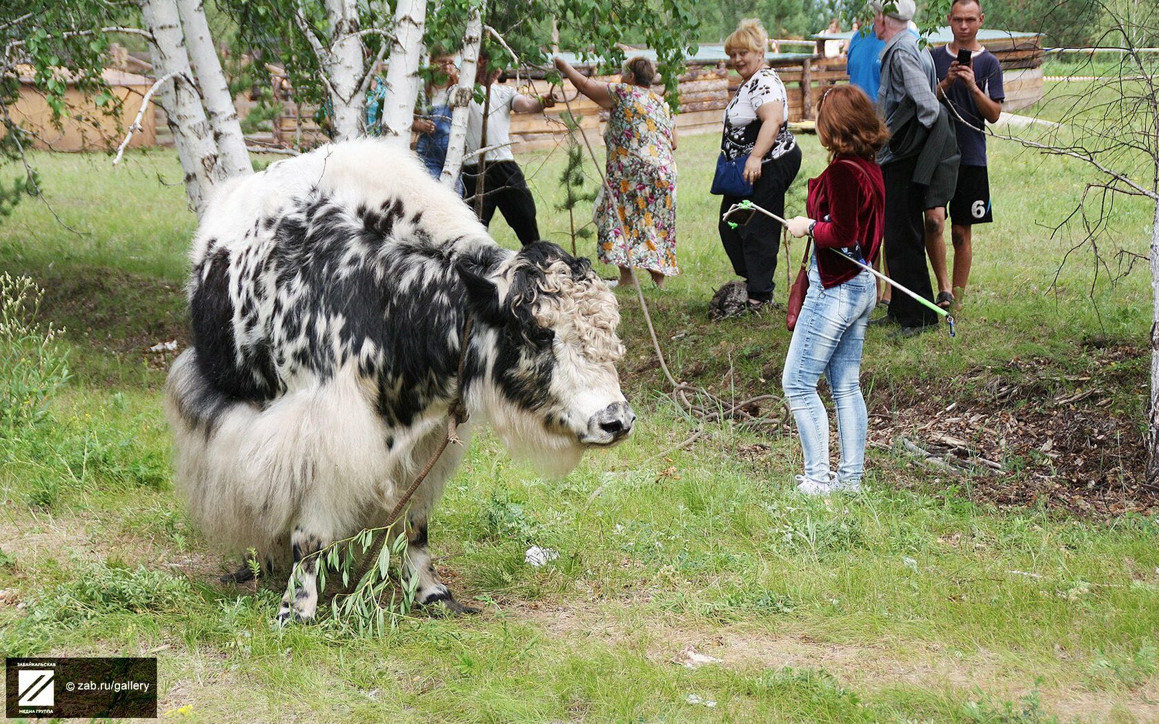 Зоопитомник Амодово