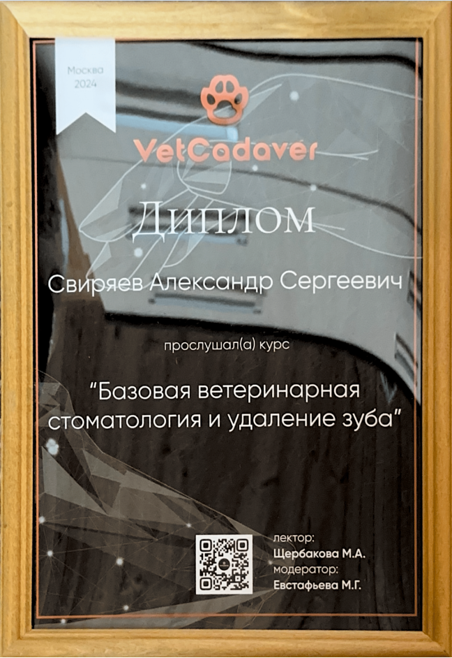 Диплом по ветеринарной стоматологии