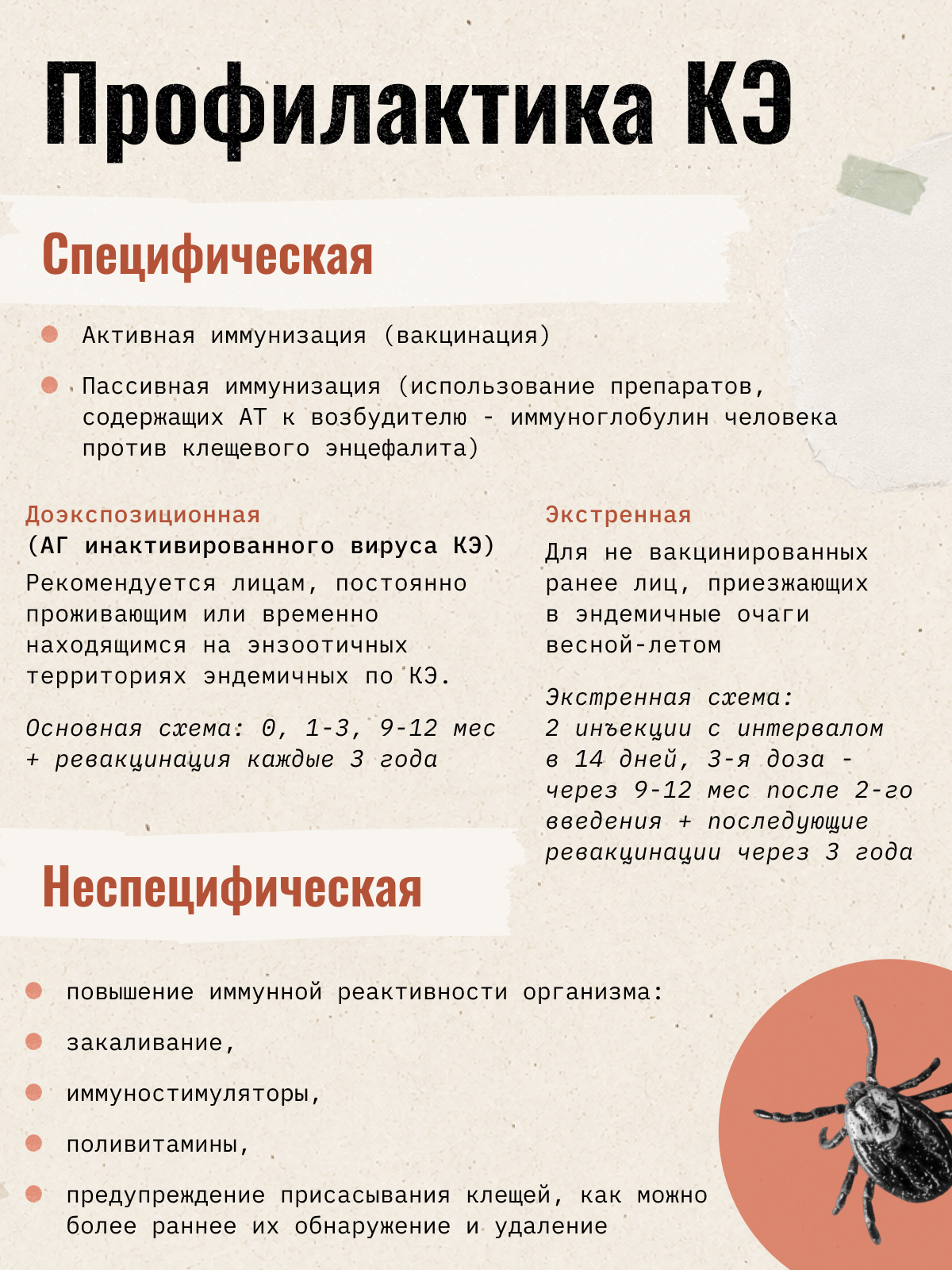 Карточка 23