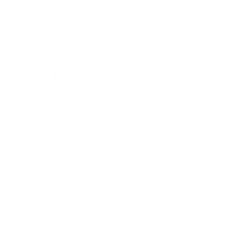 website icon