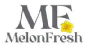Логотип до доработки: MelonFresh
