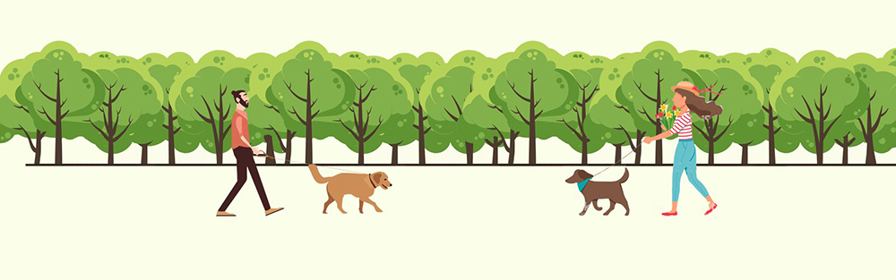 Погулять с собакой