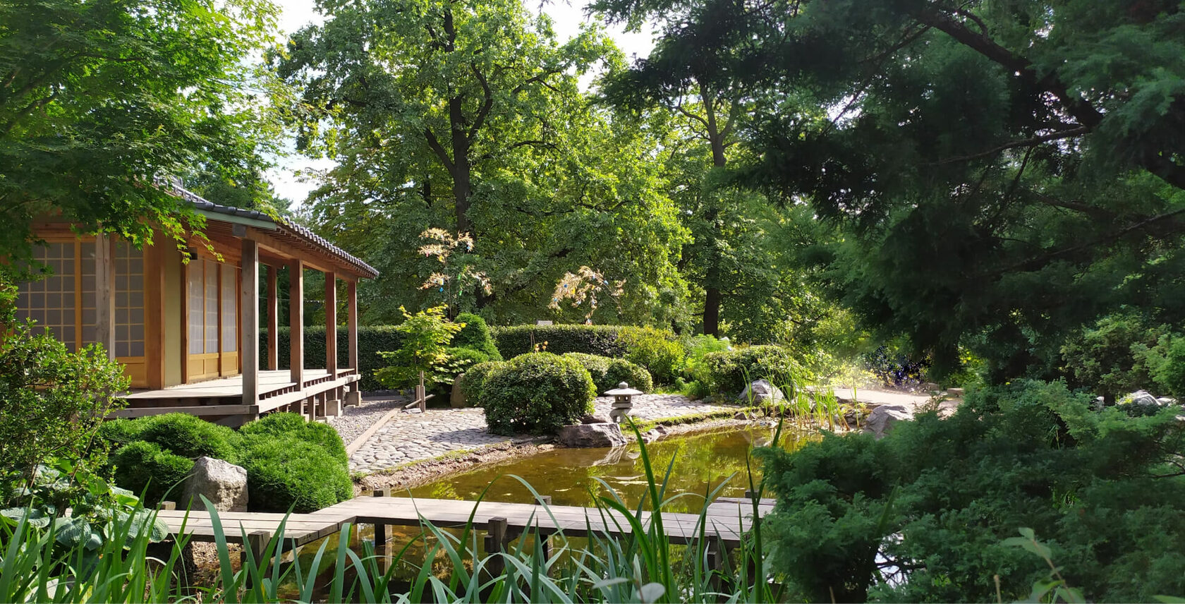 ландшафт дачного участка. купить участок в маленький италия. благородный сад. благородный сад. ландшафтный 3и-айн.